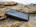 Ulefone Armor 5